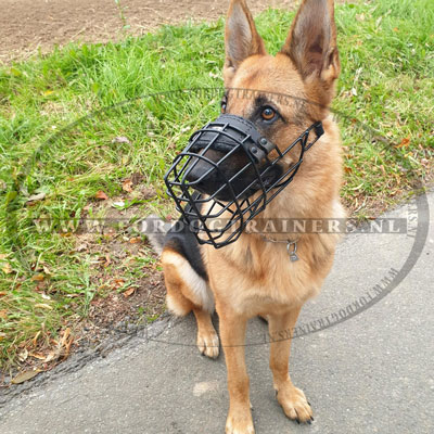 Ons
product op de Hond van de Klant