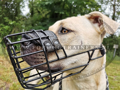 Muilkorf voor alle weersomstandigheden voor Amstaff - Klik op de afbeelding om het venster te sluiten