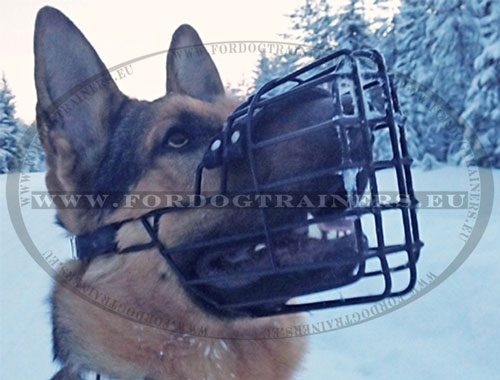 Goede tuig voor voor training hond