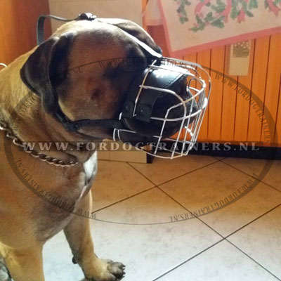 Metalen Muilkorf voor Bullmastiff