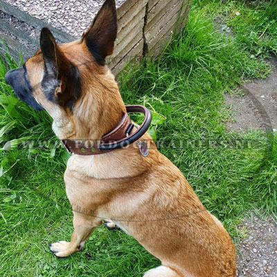 Halsband voor agitatie werk met Herder