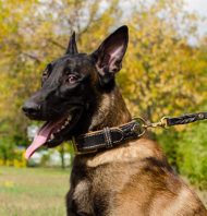 Multifunctionele Gevlochten Nappa Halsband voor Malinois