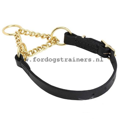 Honden Martingale Halsband voor Dagelijkse Wandelingen