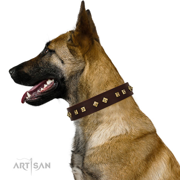 Halsband voor honden van bruin leer in honden van onze klanten
