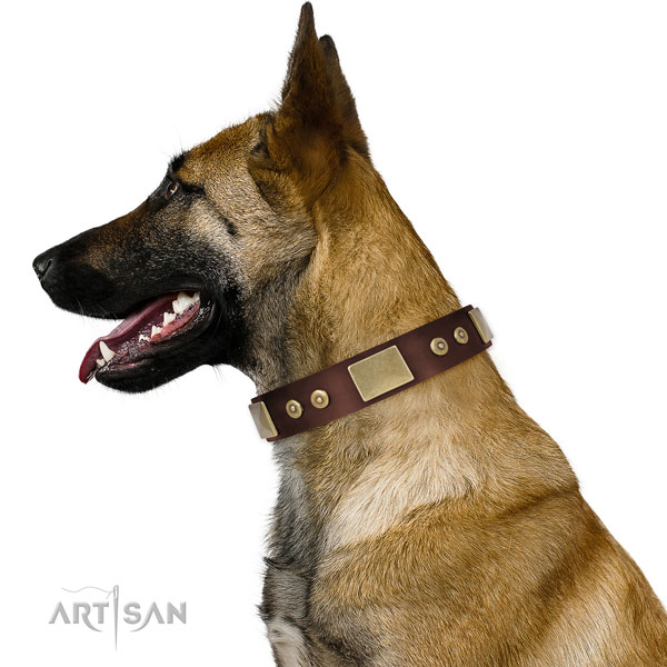 Bruin leer versierde halsband hond