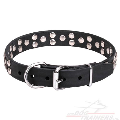 Halsband met Studs