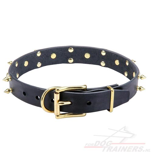 Lederen Honden Halsband met Messing Spikes en Schedels