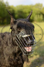 Riesenschnauzer Draad Muilkorf voor wandelen en trainen [M9###1106 Draad Muilkorf]