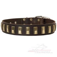 Schitterende leren halsband voor hond met Platen