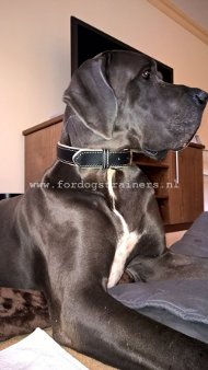 Koninklijke Nappa Halsband voor Duitse Dog