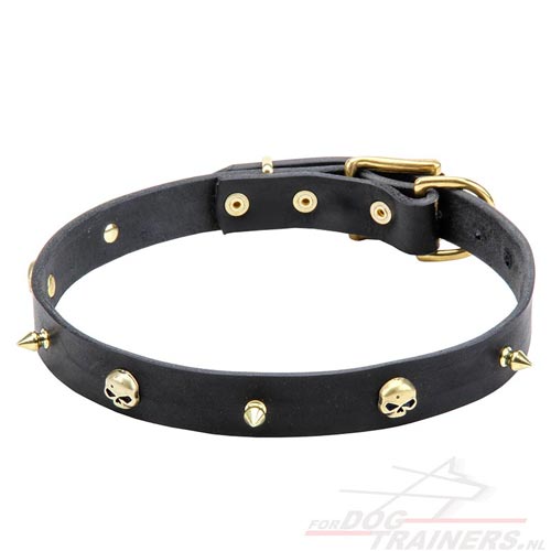 Lederen Honden
Halsband met Messing Versieringen