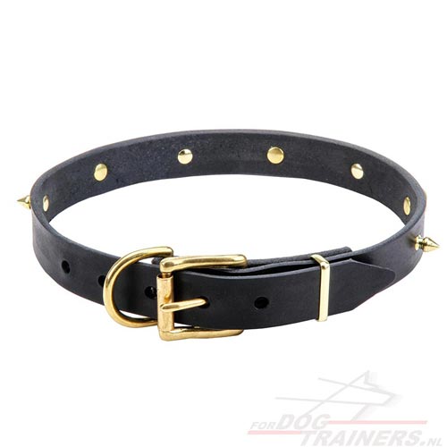 Stijlvolle
Lederen Honden Halsband