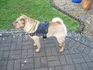 Nylon Tuig voor Shar-pei Training en Wandelingen