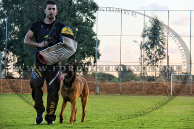 Bechermde broeken voor training met hond