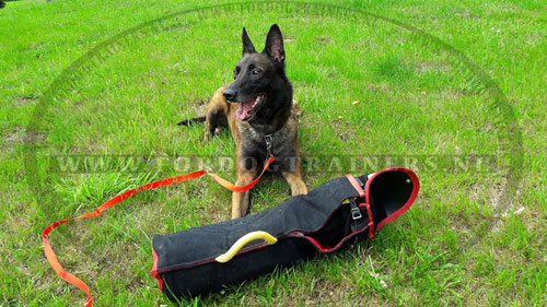 Goede bijtmouwen voor bescherming voor training hond