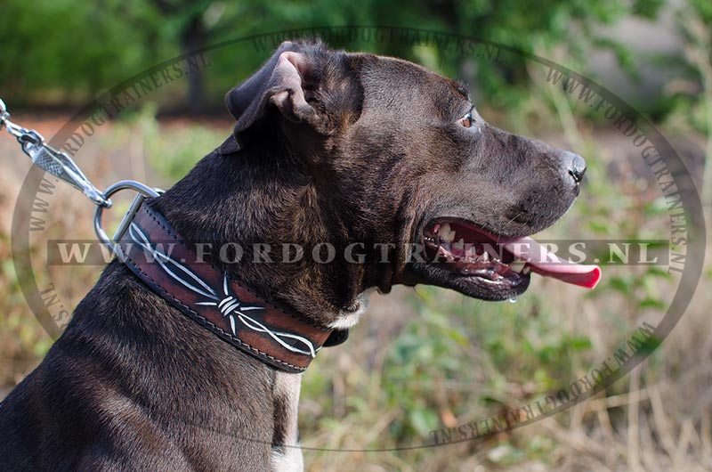 Pitbull honden halsband met Prikkeldraad Stijl❺❺ - Klik op de afbeelding om het venster te sluiten