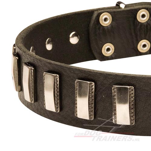 Hippe honden halsband