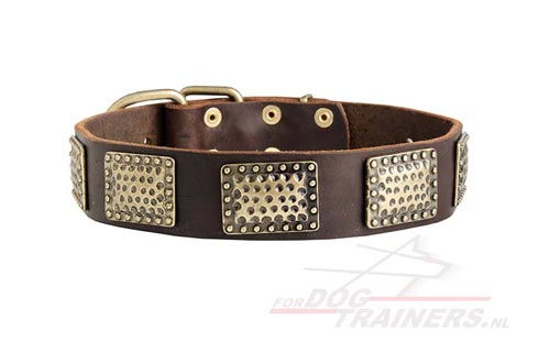 winter en zomer honden halsband