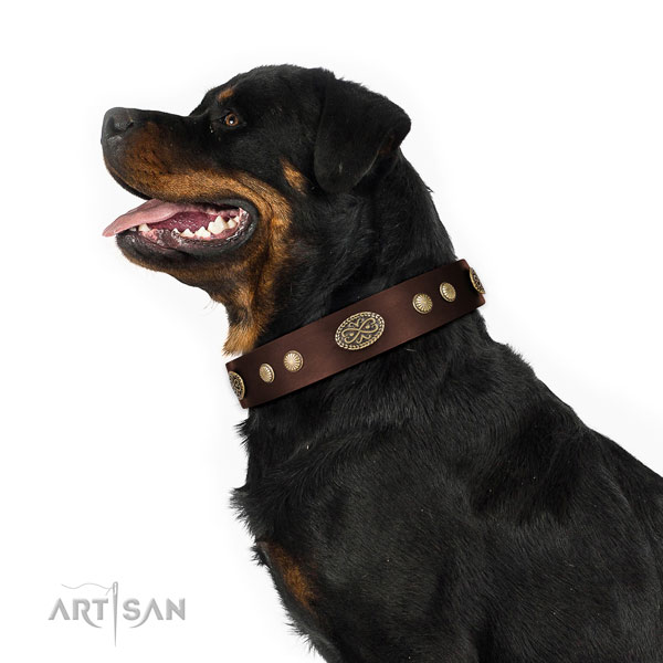 Rottweiler hondenhalsband leer met studs