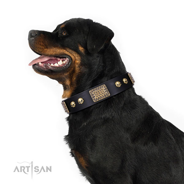 Rottweiler hondenhalsband leer met studs