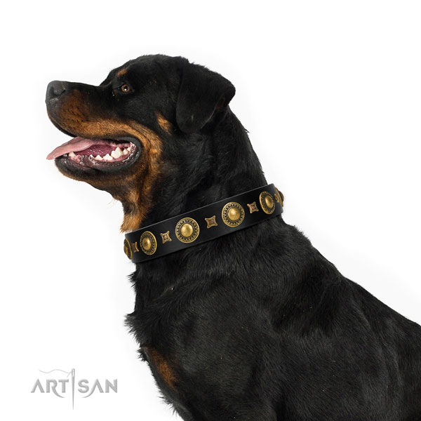 Rottweiler hondenhalsband leer met studs