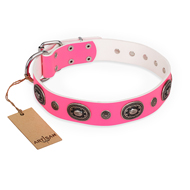 Exclusieve lederen hondenhalsband met studs