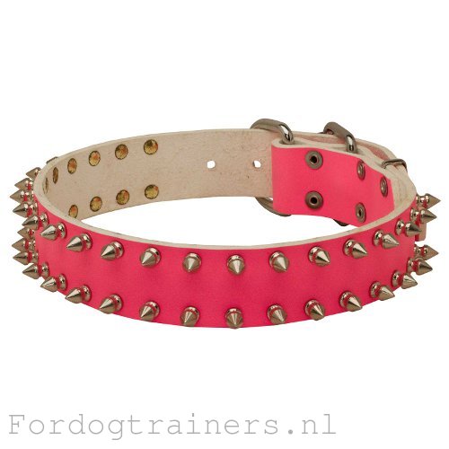 Roze Leren Halsband met Spikes voor Stijlvolle Honden Roze Leren Halsband met Spikes voor Stijlvolle Honden