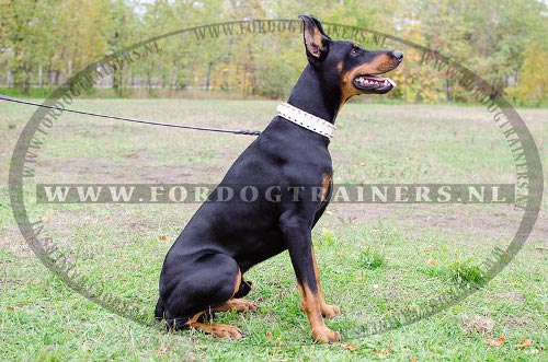 Witte lederen halsband met spikes voor Dobermann