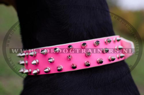 Roze Lederen Halsband met Spikes voor Dobermann
