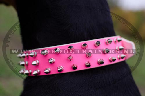 Roze Lederen Halsband met Spikes voor Dobermann - Klik op de afbeelding om het venster te sluiten