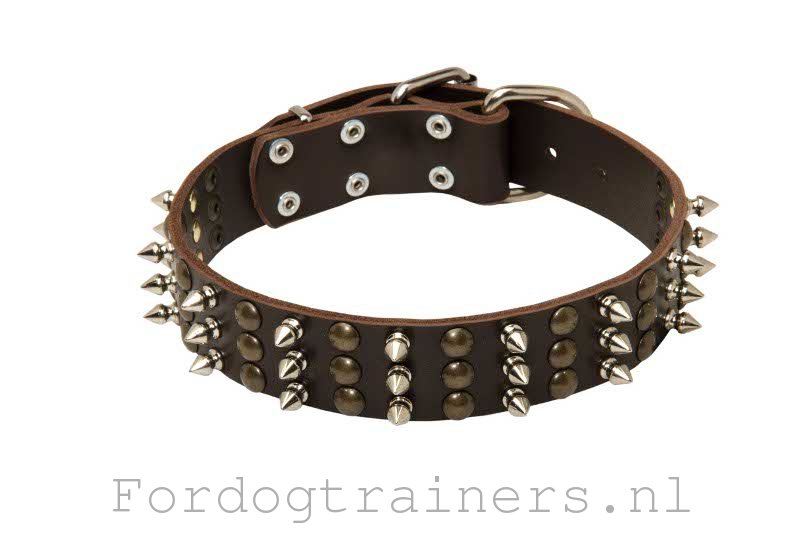 kom tot rust staking Kwestie Trendy Leren Hondenhalsband met Mix van Studs en Spikes [S59##1106 leren halsband  spikes] : Hondenwinkel met breide keuze van muilkorven, tuigen en halsbanden !