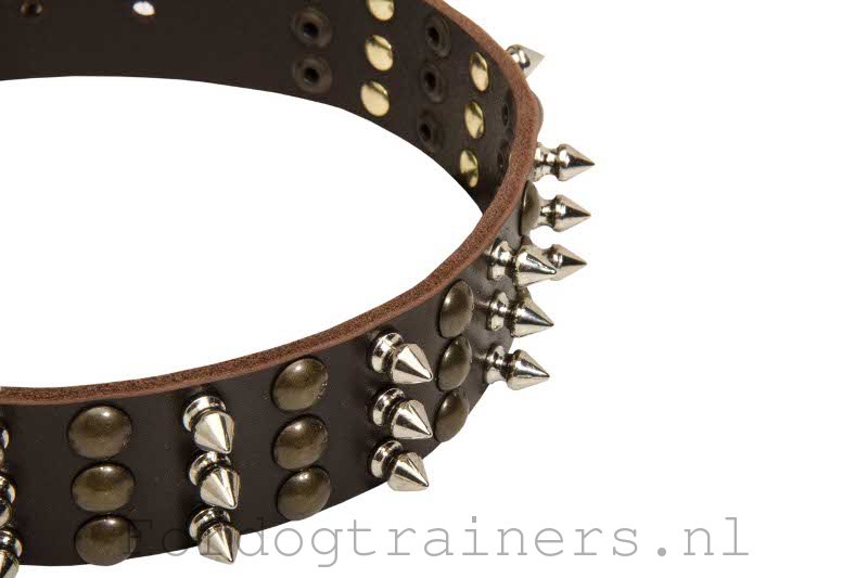 kom tot rust staking Kwestie Trendy Leren Hondenhalsband met Mix van Studs en Spikes [S59##1106 leren halsband  spikes] : Hondenwinkel met breide keuze van muilkorven, tuigen en halsbanden !