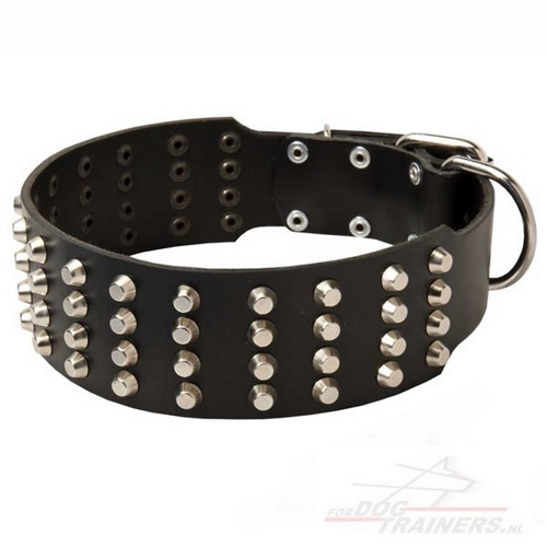 Leren hondenhalsband met 4-rijige piramides, extra breed 6 cm