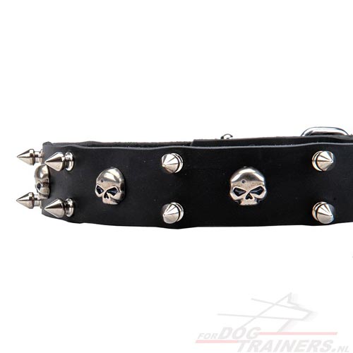 Duurzame Lederen Honden Halsband met Roestvrije Hardware