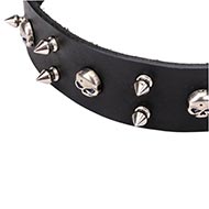 Lederen Honden Halsband met Schedels en Spikes "Blackbeard"