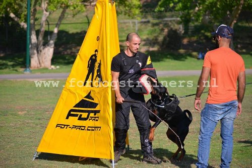 Training Hindernis voor Grote Honden