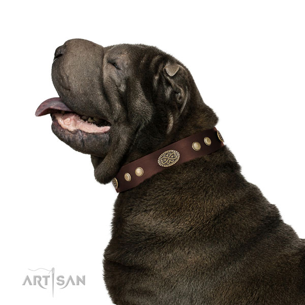 Shar-Pei leer versierde halsband hond