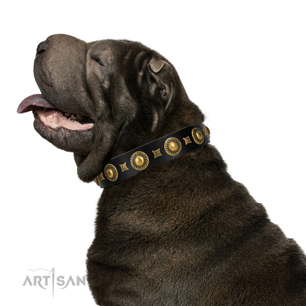 Shar Pei in brede roze halsband hond