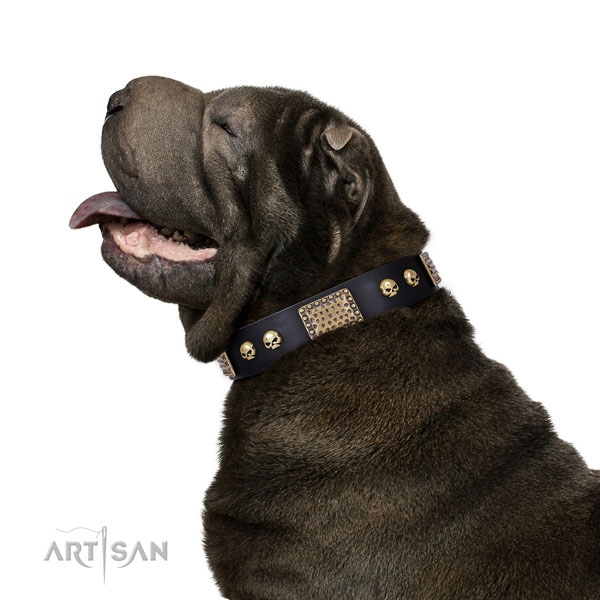 Shar-Pei leer versierde halsband hond