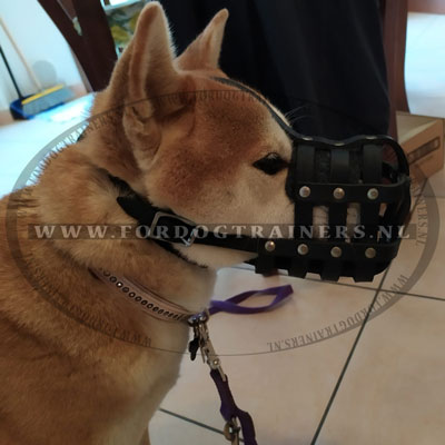 Super ventilerende leren muilkorf voor Shiba Inu