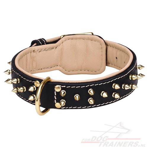 Halsband met Studs