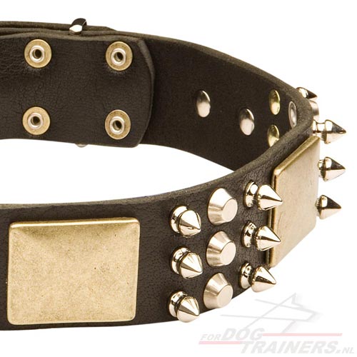 Lederen Halsband met Spikes, Platen en Knoppen