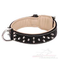 Stoere Spikes Leren Halsband voor honden