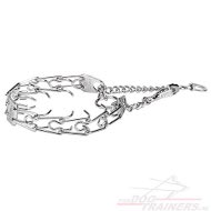 Stoere Stekel Hondenhalsband voor Opleiding Stoere Stekel Hondenhalsband voor Opleiding