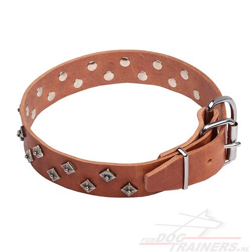 Honden Leren Halsband Ster Knoppen Versiering