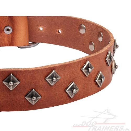 Versierde Ster Knoppen op Leren Honden Halsband