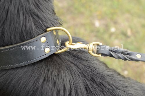 Halsband voor Duitse Herder kopen