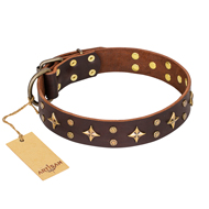 Bruin honden halsband Step and Sparkle FDT Artisan