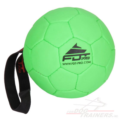 Inflatable Dog Training Ball