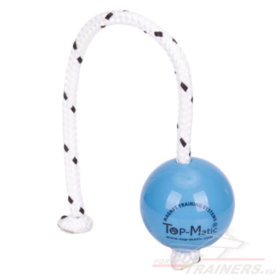 Magnetic Dog Training Balls: Fun-Ball Soft